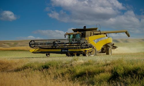 Photo of a New Holland Combine Harvester by David Thielen.